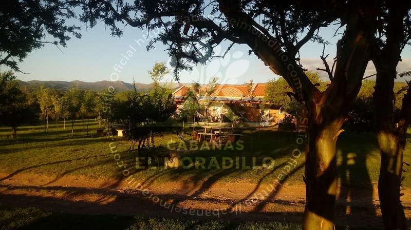 Imagen cargada de forma dinámica