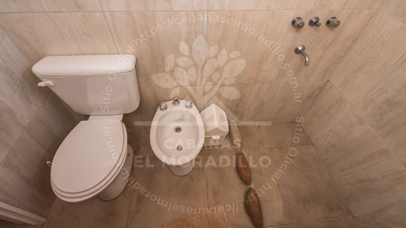 Imagen cargada de forma dinámica