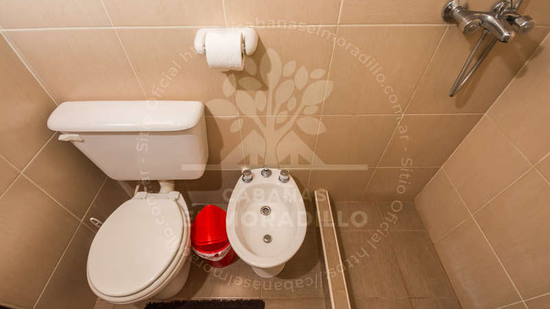 Imagen cargada de forma dinámica