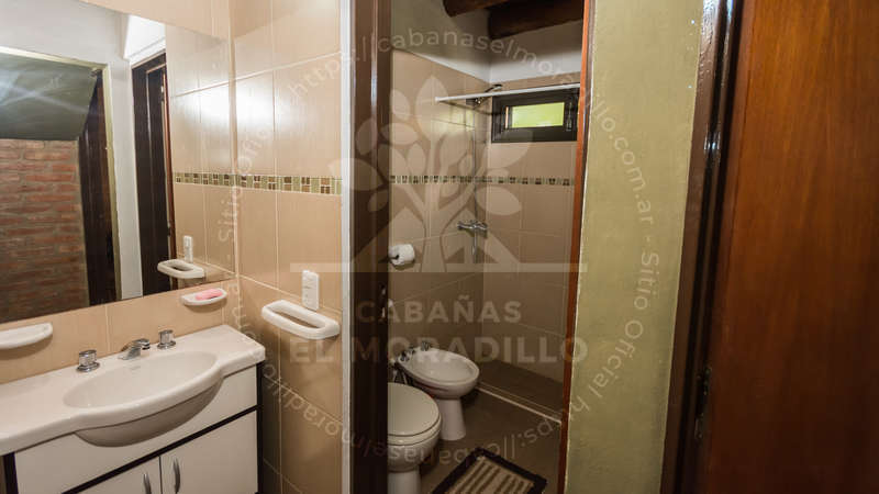 Imagen cargada de forma dinámica