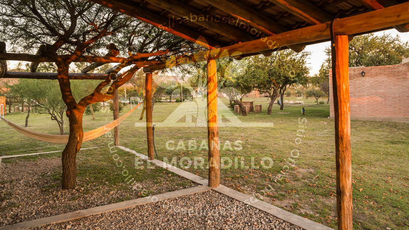 Imagen cargada de forma dinámica