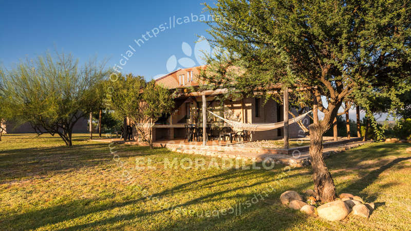 Imagen cargada de forma dinámica