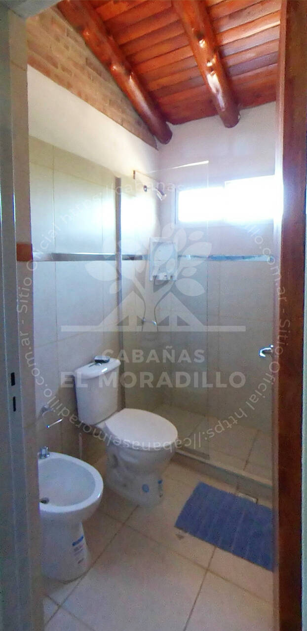 Imagen cargada de forma dinámica